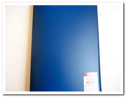 Папка 10файлов 0,35мм синяя  iOffice 6/24 арт. I-10-04                  