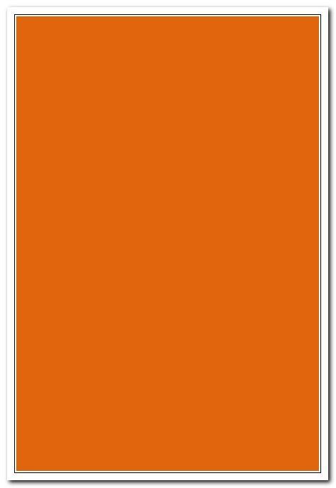 Бумага цветная А4 10листов, тонированная,оранжевая арт. С3036-09                 