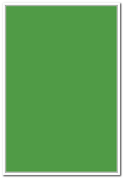 Бумага  А4  10л. Тонированная ярко-зеленая арт. С3036-08                 