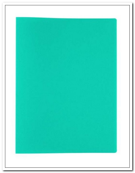 Папка 20файлов 450мкр песок "Expert Complete" Classic Зеленая, корешок 15мм арт. ЕС2701203