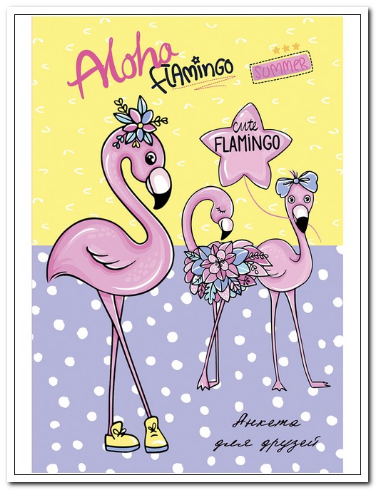 Анкета для друзей А6  64 л. Приятные фламинго, твердый переплет  арт. 64-1909