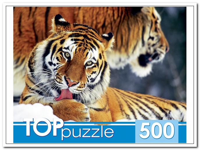 Пазлы 500 эл. Два тигра.  TOPpuzzle арт. КБТП500-6797