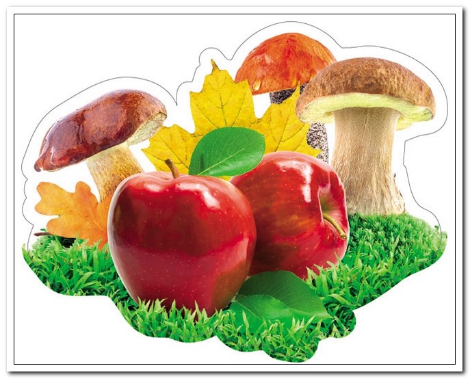Элемент Яблоко красное + грибы + листья (200*200)  10 эл./упак. арт. 10-10.07-0016