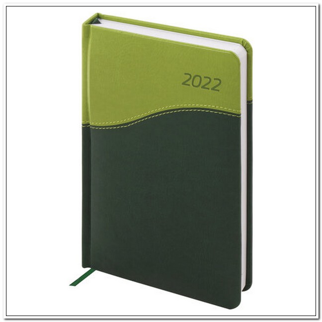 Ежедневник датированный А5 2022г Bond под кожу, зеленый/салатовый арт. 112738
